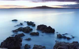 pizza: Its Future and The Revolution Brewing