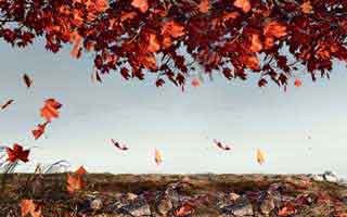 Momentum: What It Is and Why It Matters