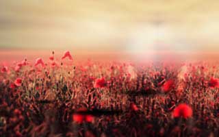 Switzerland: Where It Is and What Makes It Extraordinary